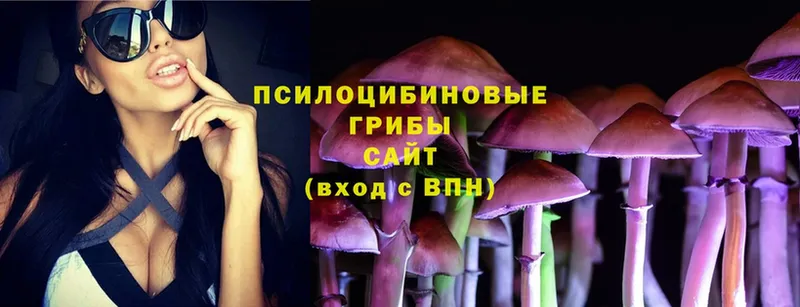 Галлюциногенные грибы Psilocybe  закладки  Калачинск 